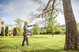 How Our Tree Care Process Works  in  Spring Glen, UT